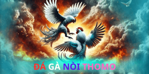 Đá Gà Nòi Thomo