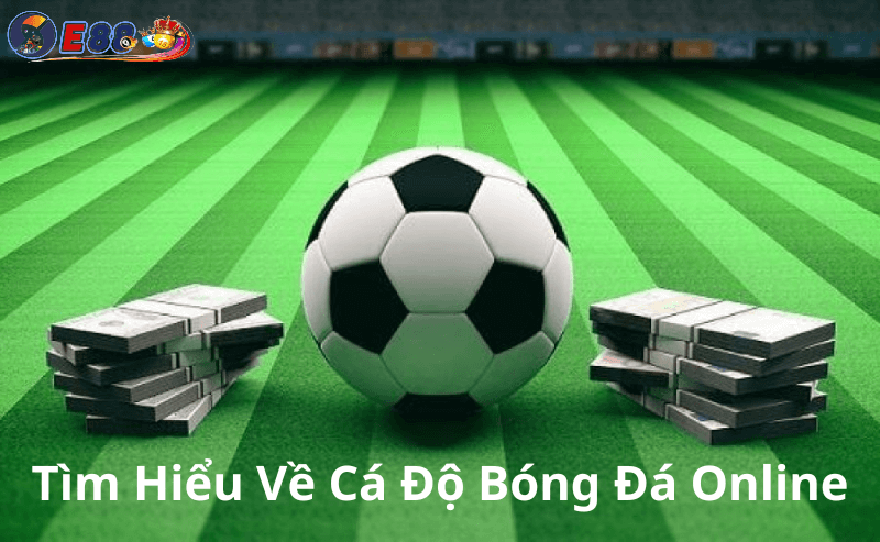 Cá Độ Bóng Đá Online