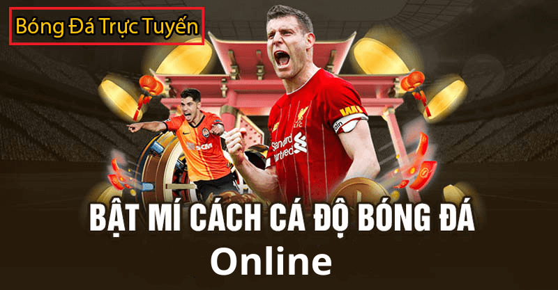 Cá Độ Bóng Đá Online