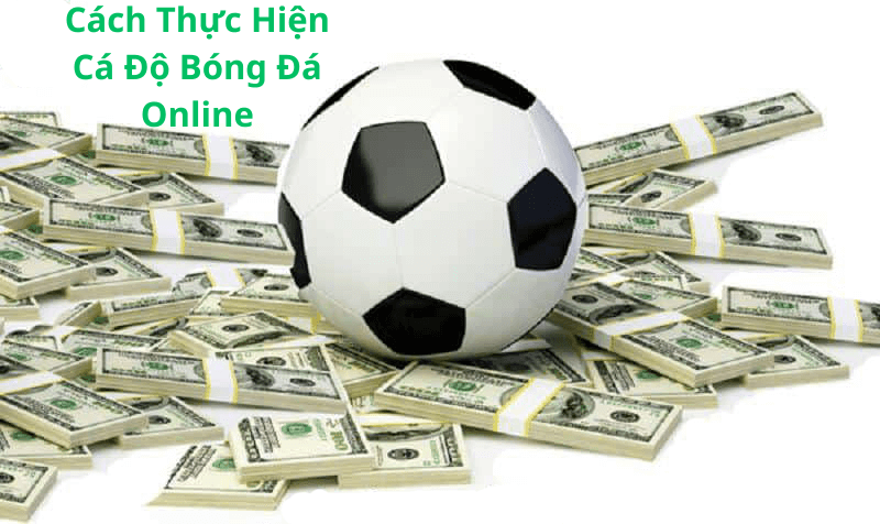 Cá Độ Bóng Đá Online