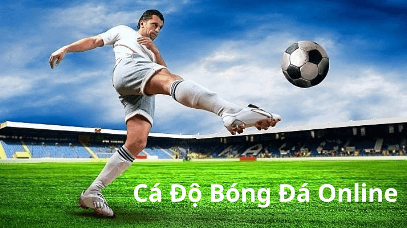 Cá Độ Bóng Đá Online