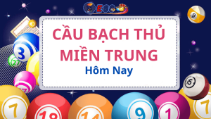 Cầu Bạch Thủ Miền Trung