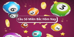 Cầu Số Miền Bắc Hôm Nay