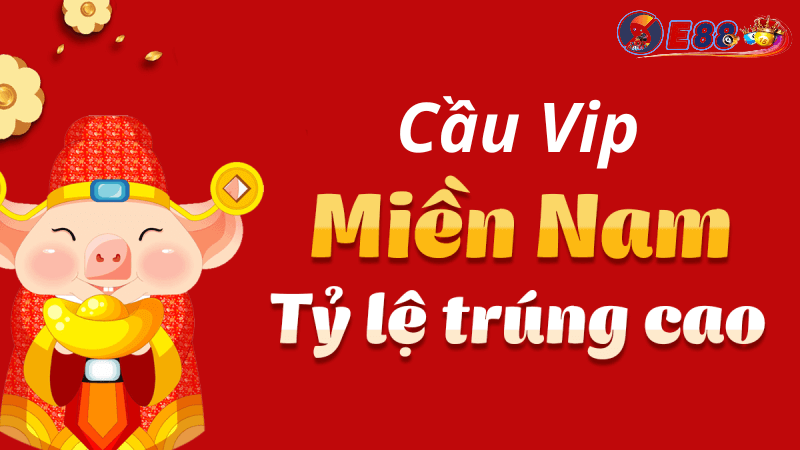 Cầu VIP Miền Nam