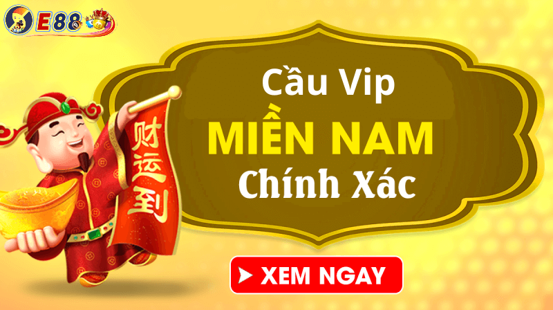 Cầu VIP Miền Nam