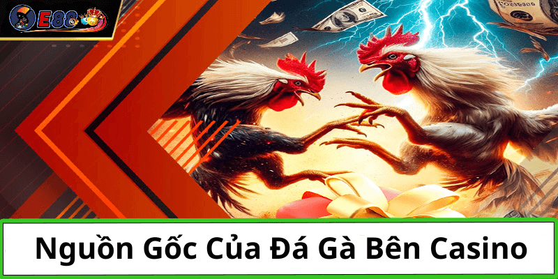 Đá Gà Bên Casino