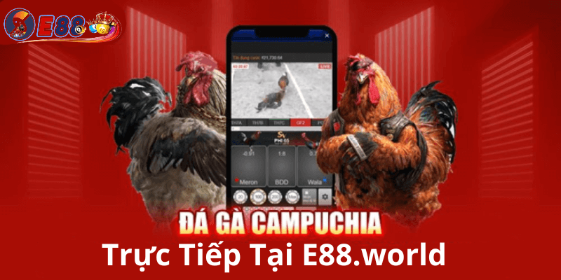 Đá Gà Campuchia Trực Tiếp