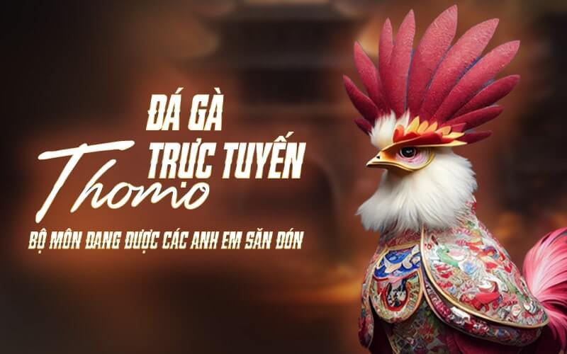 Đá Gà Thomo Trực Tiếp Hôm Nay