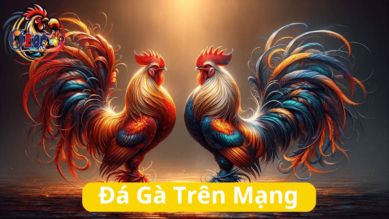 Đá Gà Trên Mạng