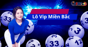 Lô Vip Miền Bắc