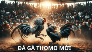 Đá Gà Thomo Mới