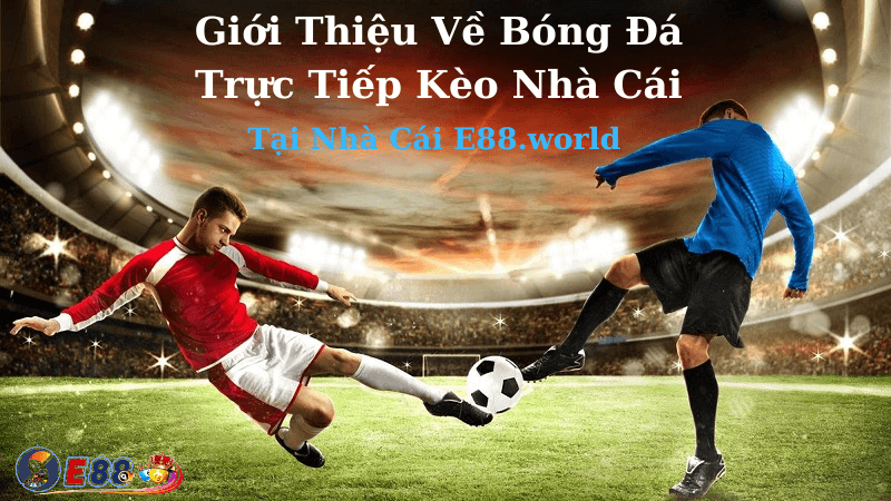 Bóng Đá Trực Tiếp Kèo Nhà Cái