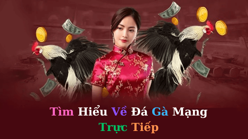 Đá Gà Mạng Trực Tiếp