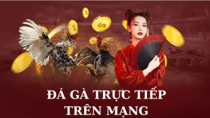 Đá Gà Trực Tiếp Trên Mạng