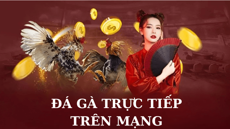 Đá Gà Trực Tiếp Trên Mạng