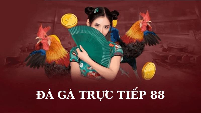 Đá Gà Trực Tiếp 88