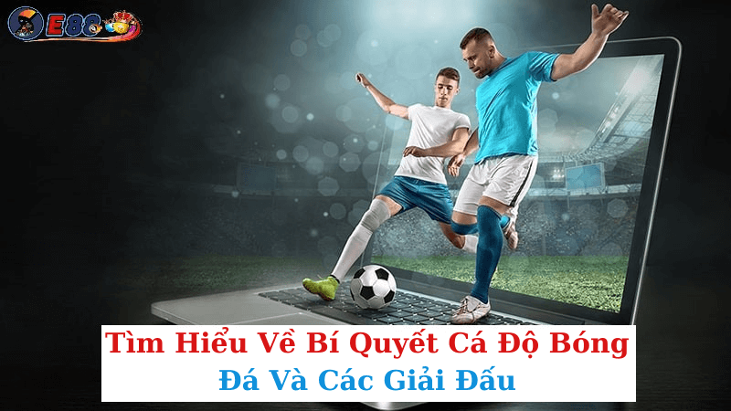 Bí Quyết Cá Độ Bóng Đá