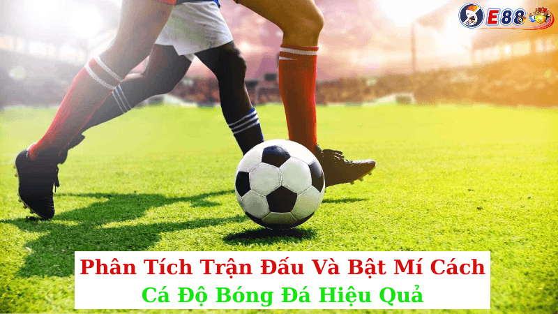 Bật Mí Cách Cá Độ Bóng Đá