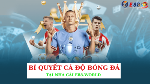 Bí Quyết Cá Độ Bóng Đá