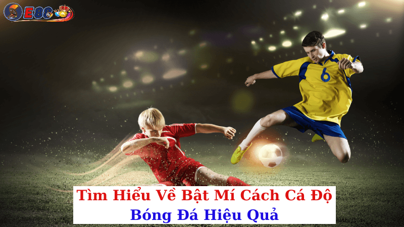 Bật Mí Cách Cá Độ Bóng Đá